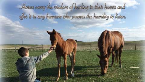 Blue Rein Ranch Counselling & Animal Assisted Therapy